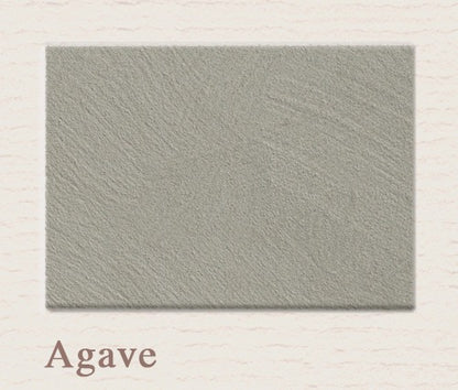 Agave