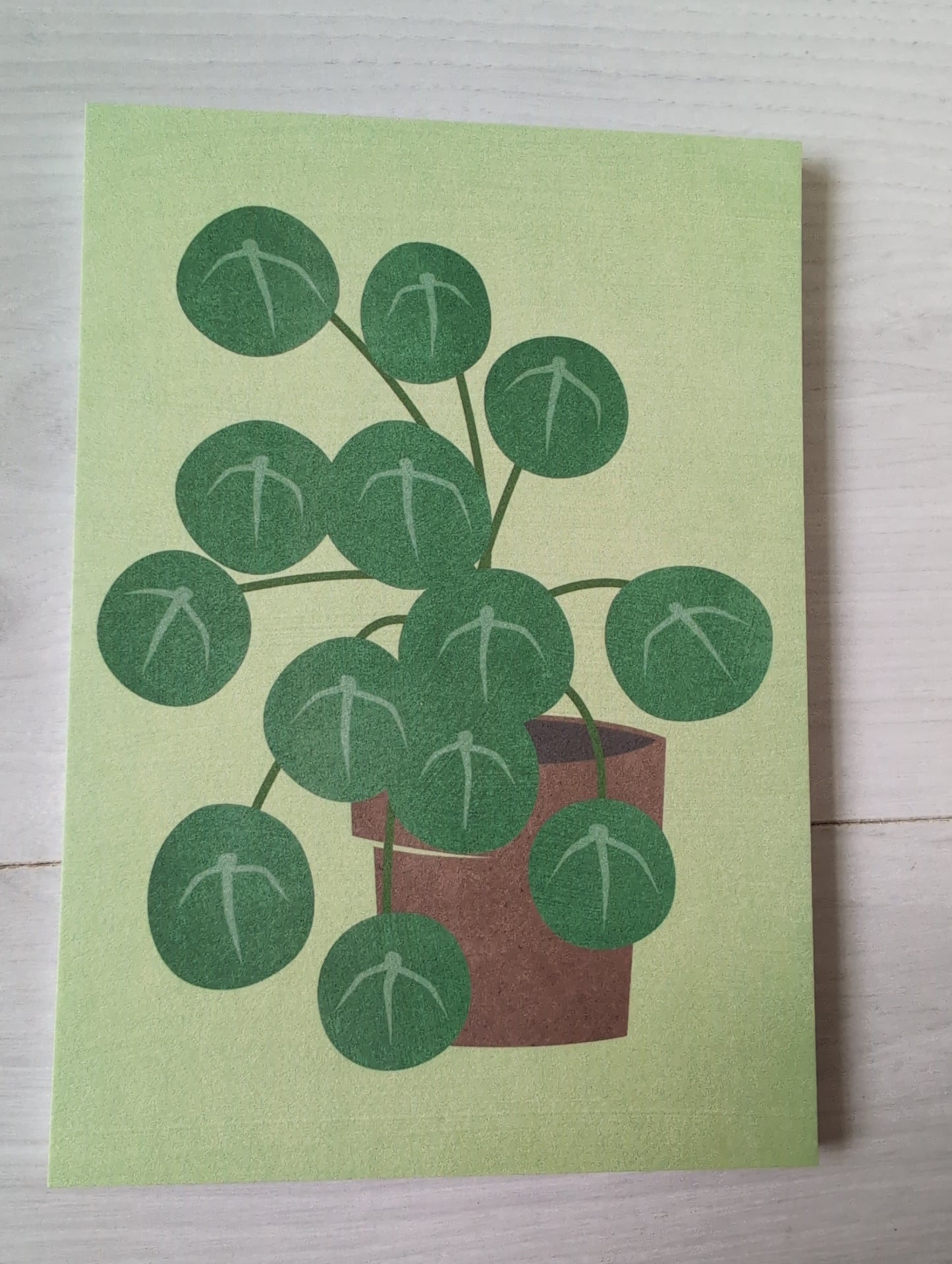 Postkarte "Pilea"